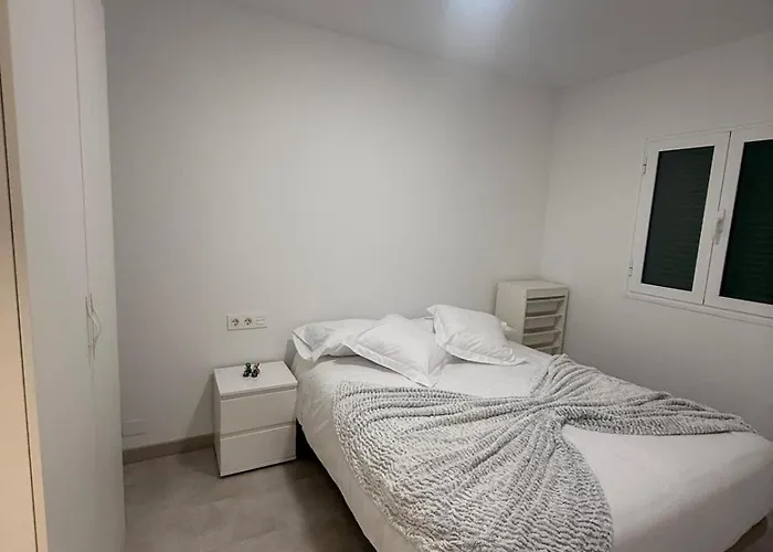 Secret 312 The Faluas